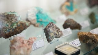 Mineralprover i vitrin i Viljo Nissinens mineralsamling.
