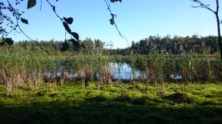 Keväinen luontomaisema