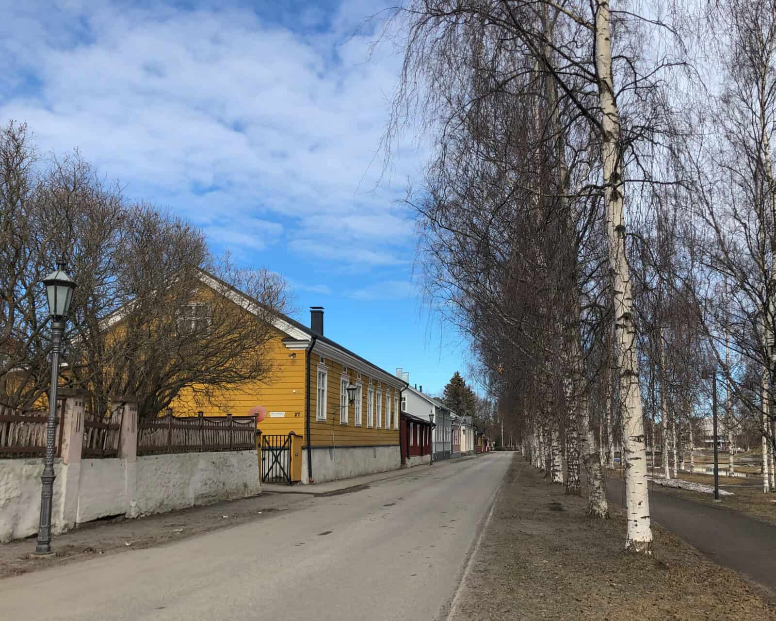 Katunäkymä, oikealla koivuja, vasemmalla värikkäitä puutaloja