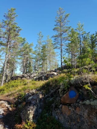 Klippa och skog.